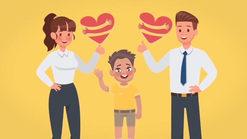 Sole Custody and Joint Custody